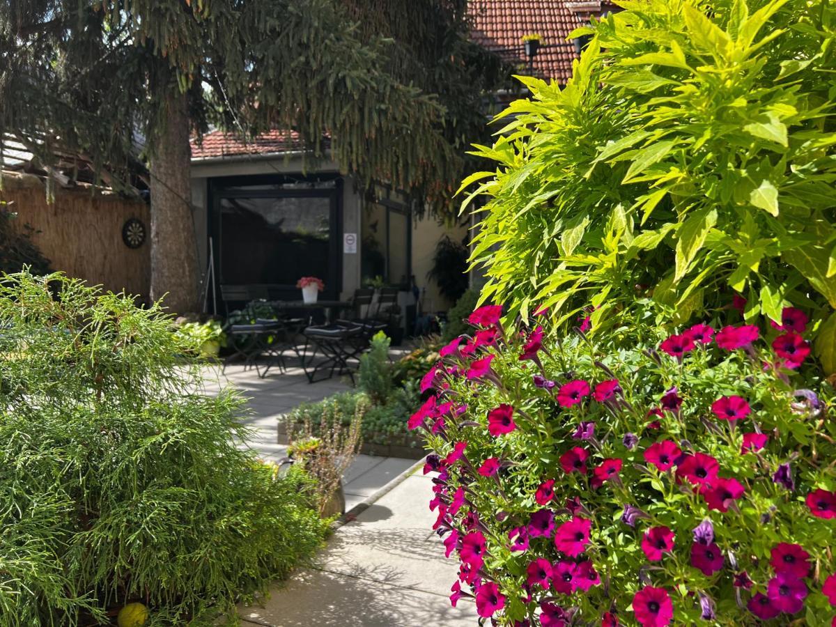 Margareta Garden & Spa Eger Ngoại thất bức ảnh